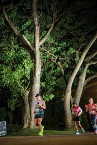 BIB: 
                            <button type="button" onclick="openModal(26547630)" class="btn btn-primary btn-sm float-right btn-popup" data-toggle="modal" data-target=".modal-high-quality">
                        <i class="fas fa-shopping-cart"></i> Add to Cart
                    </button>
                                            <button type="button" onclick="isThisMe(26547630, true)" class="btn btn-success btn-sm float-right btn-popup btn-isme hidden" data-toggle="tooltip" data-placement="bottom" title="นี่คือรูปของคุณใช่ไหม คลิกที่นี่เพื่อเอาเข้าอัลบั้ม">
                        <i class="fas fa-plus"></i> Add to album
                    </button>
                    <button type="button" onclick="isThisMe(26547630, false)" class="btn btn-warning btn-sm float-right btn-popup btn-isnotme hidden">
                        <i class="fas fa-ban"></i> Remove from album
                    </button>